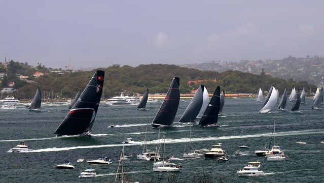 Yachts flotilla on Sydney harbour after start of Sydney Hobart yacht race in 4k.
