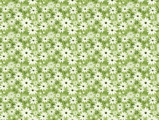 Obraz na płótnie Canvas Grünes frisches Blütenmuster - Geschenkpapier Hintergrund Textur