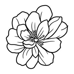 Hand drawn simple flower illustration