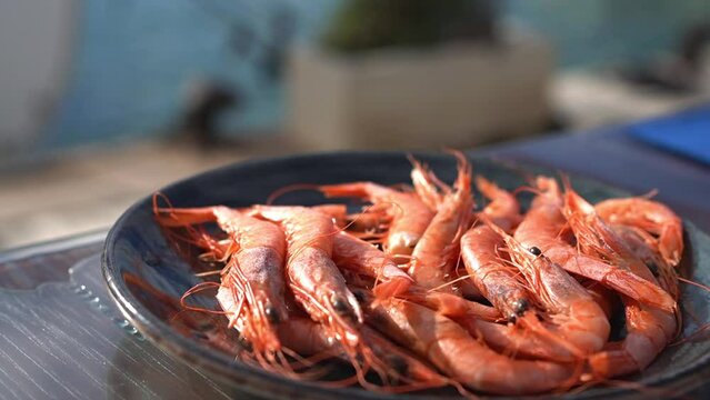 Spanish very popular tapas, Gambas de Huelva ( shrimps from Huelva in Spain)