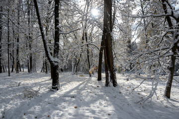 Winter Landscape of South Park in city of Sofia, Bulgaria