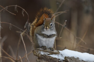 La Plaine 6 Janvier 2024