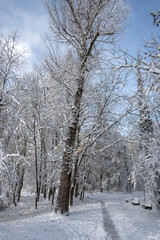 Winter Landscape of South Park in city of Sofia, Bulgaria