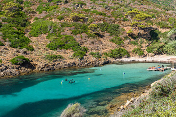 Naklejka na ściany i meble Cala Murichessa, a small bay in the Asinara island, in northwest Sardinia