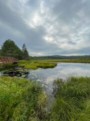 Obraz premium A lake in the forest with bridge and trees