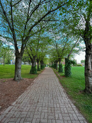 Spring alley in the park
