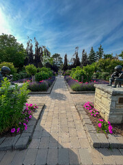 Blooming path in a garden