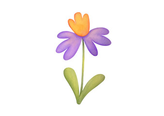 cute watercolor flower with yellow and purple petals on transparent background. Summer and spring watercolours narcissus. Greeting card clipart