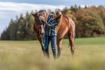 A young woman cuddle with her bay brown trotter horse in autumn outdoors - obrazy, fototapety, plakaty