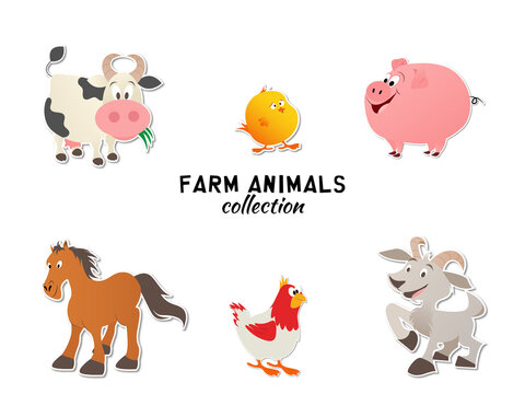 vector flat design farm animal collection