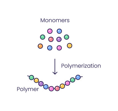 Vector illustration of polymerization reaction. Conversion of monomers into polymers. Scientific symbols
