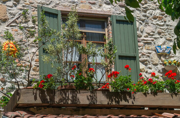 Fototapeta na wymiar Fenster mit Fensterläden, Olivenbäumchen und Geranien