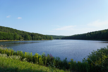 Lake and forest in Hungary