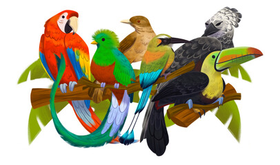 Ilustración de hermosas aves nacionales de Centroamérica
