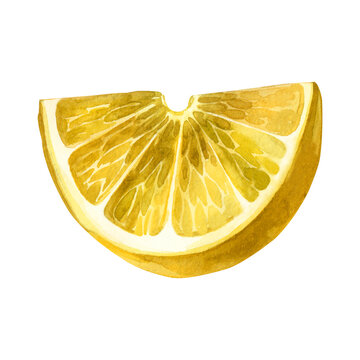 Watercolor illustration. A slice of yellow lemon hand drawn in watercolor on a transparent background. Suitable for printing on fabric and paper, for kitchen decoration, tableware and towels design.