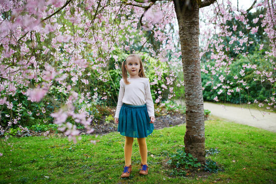 Adorable preschooler girl enjoying nice spring day in park during cherry blossom season