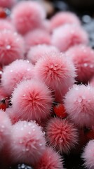 Pink fruit freeze winter frost story background AI generated