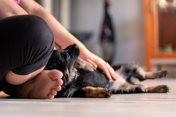 Obrazy na Plexi  Człowiek siedzi na podłodze w domu i głaszcze wtulonego szczeniaka