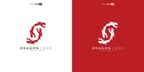 Foto op Canvas dragon silhouette logo design. Dragon vector illustration © nurvika