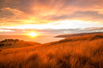 Sun breaking horizon at Godley Head - Banks Peninsula, New Zealand - 01 - obrazy, fototapety, plakaty