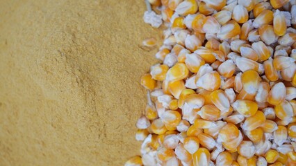 Yellow gold Corn gluten and corn are the nutrient rich co-product of dry -milled ethanol .The biofuel plants are a growing source