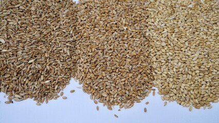 Left to right wheat brazil, wheat Romania and wheat Australia. the raw material starch source and Phytate  for animal feed