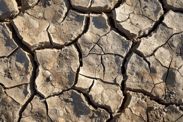 Cracked earth texture in arid desert