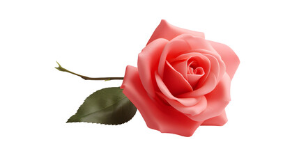 Single red rose standing elegantly against a pale pink background, a timeless symbol of love and beauty.