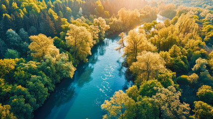 Aerial view peaceful landscape, river with crystal clear water occurs among the forest, colorful trees on the bank, spring celebration, Landscape concept, generative ai