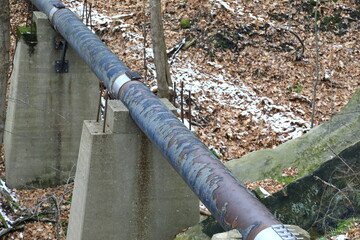 Sewer pipe
