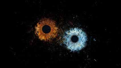 Galaxy effect of human eyes exploding on black background. Close-up of blue and brown colored iris colliding. Structural Anatomy. Iris Detail. Filamentes and Pigments. Super Resolution.