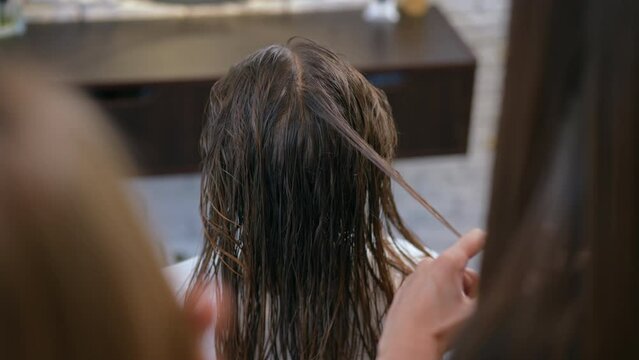 Rear view, shot from behind the shoulder. A girl sits in a chair with wet hair in a salon. Woman hairdressers check a strand of a girl's wet hair for strength. Close-up.