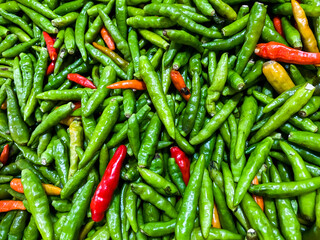 Backdrop of green chilli peppers texture background. Close up view with copy space for design
