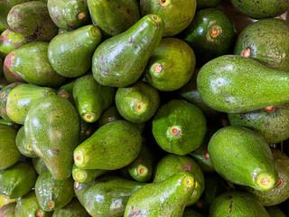 Close up of fresh avocado fruit  good for background. High quality