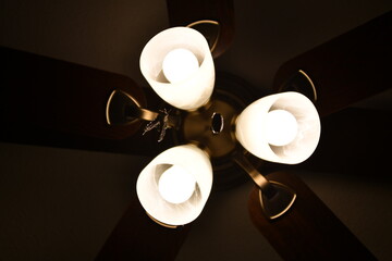 Light Bulbs on a Ceiling Fan