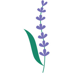 Floral vector illustration. Colorful flat vector illustration with floral theme.
