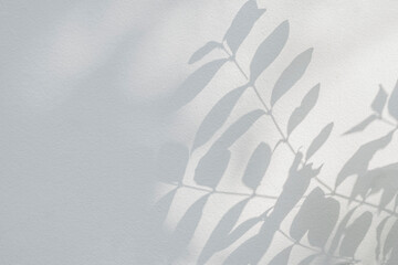 Shadow and sunshine with light of leaves reflection. Jungle gray darkness leaf plants shadows shade and lighting on wall background, Natural shadows overlay effect foliage mockup wallpaper and design