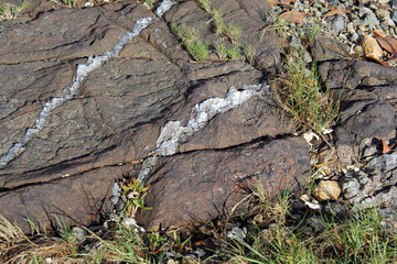 Close up textured background of rocks and grass at a beach