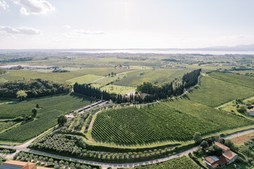 Green gardens and fields around ancient villas near Lake Garda. Verona, Italy. Aerial view