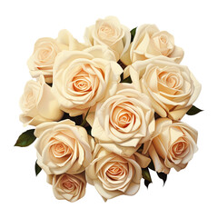 bunch of roses isolated on transparent background Remove png, Clipping Path, pen tool