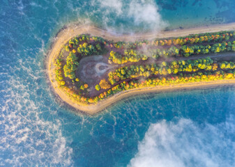 Landscape of mist fog over a pond early in morning at autumn
