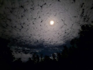 Moonscape