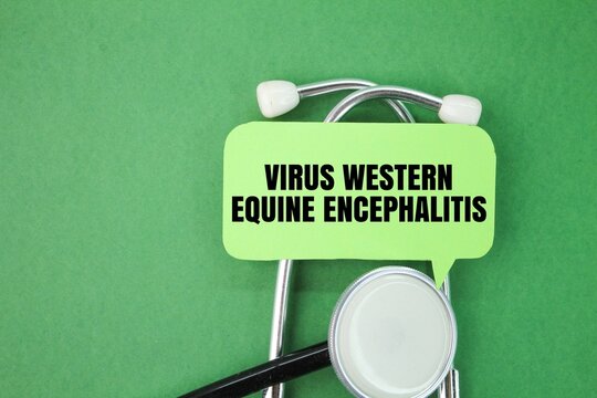 stethoscope and colored paper with the word Western equine encephalitis Virus. new virus concept