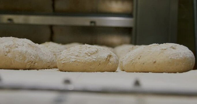 Making sourdough bread at a bakery 4K, healthy home-made breakfasts, bakery and pastries, production of healthy food, traditional regional specialties, bread dough.