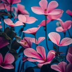 postmodern photography of elegant plants and flowers in pink and blue, art nouveau closeup