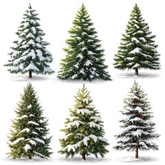 Isolated pine tree on white, Festively decorated Christmas tree with snow