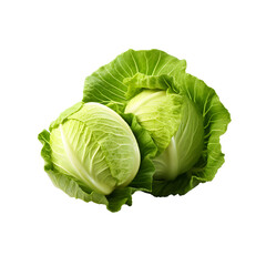 Fototapeta premium cabbage isolated on png background, clipping path, full depth of field