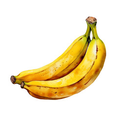 Banana Watercolor