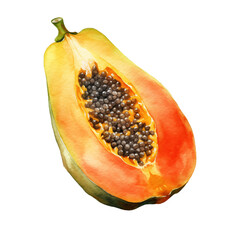 Papaya Watercolor