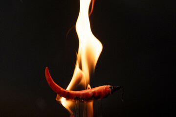 Chili pepper on fork with flames on black background. Burning red chili pepper. Slow motion